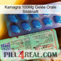 Kamagra 100Mg Gelée Orale Sildénafil new02